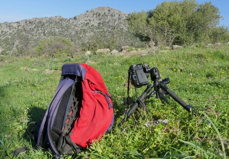 Andalusia: le orchidee e Grandi Pietre  marzo-aprile 2023.